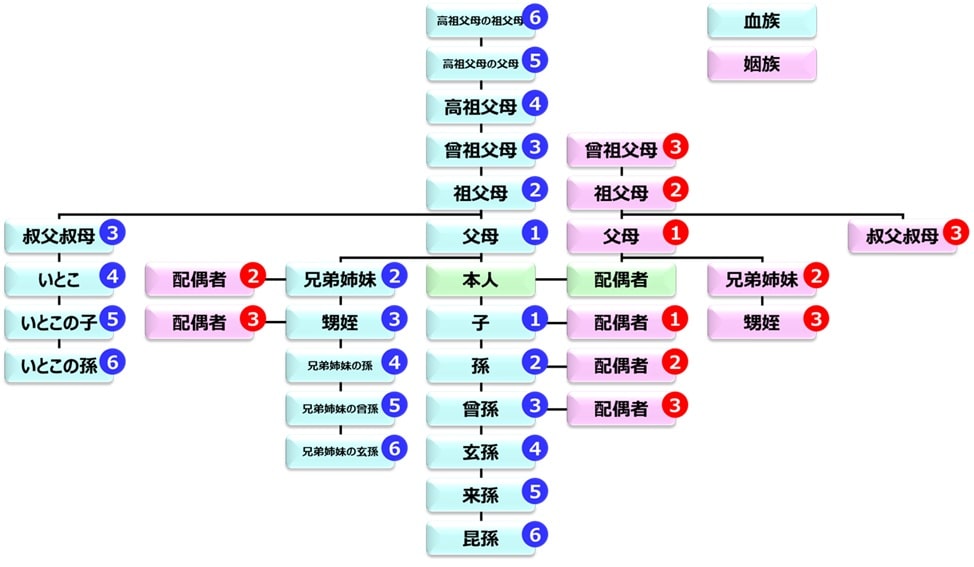 親族の系統図